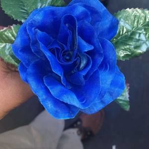 Meet your Posher, Nicholas